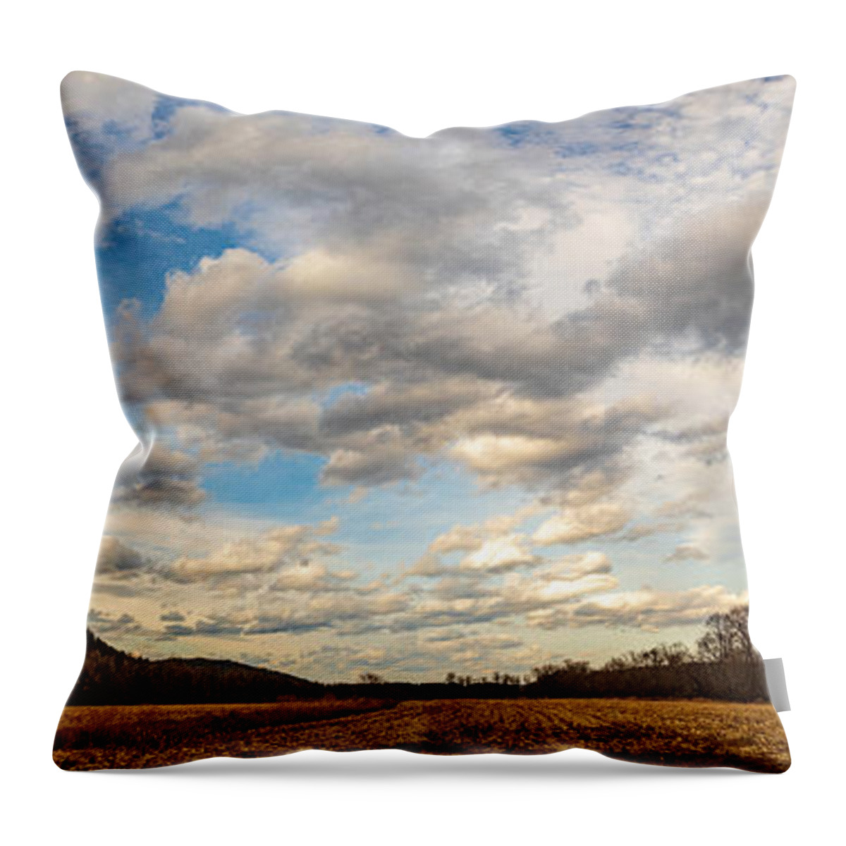Landscape Throw Pillow featuring the photograph View of the Mountains by Amelia Pearn