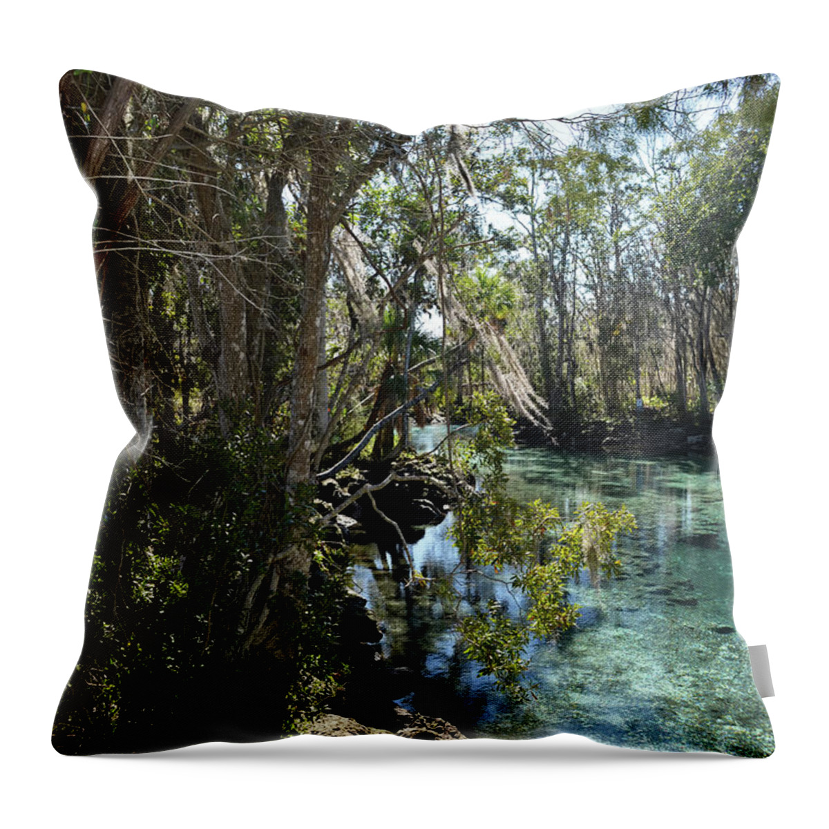Three Sisters Springs Throw Pillow featuring the photograph View Of Three Sisters Springs by Aimee L Maher ALM GALLERY
