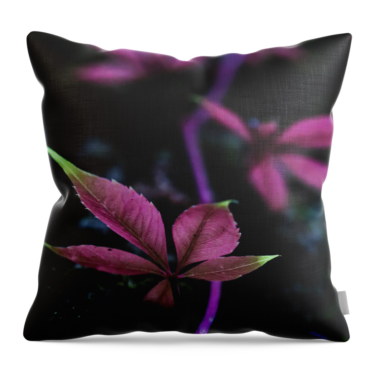 Mountain Throw Pillow featuring the photograph Vine Vibes by Go and Flow Photos