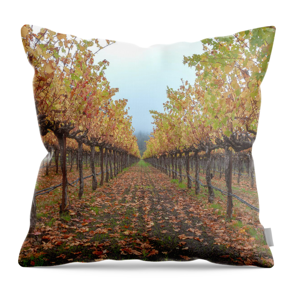 Season Throw Pillow featuring the photograph Vines Forest by Jonathan Nguyen