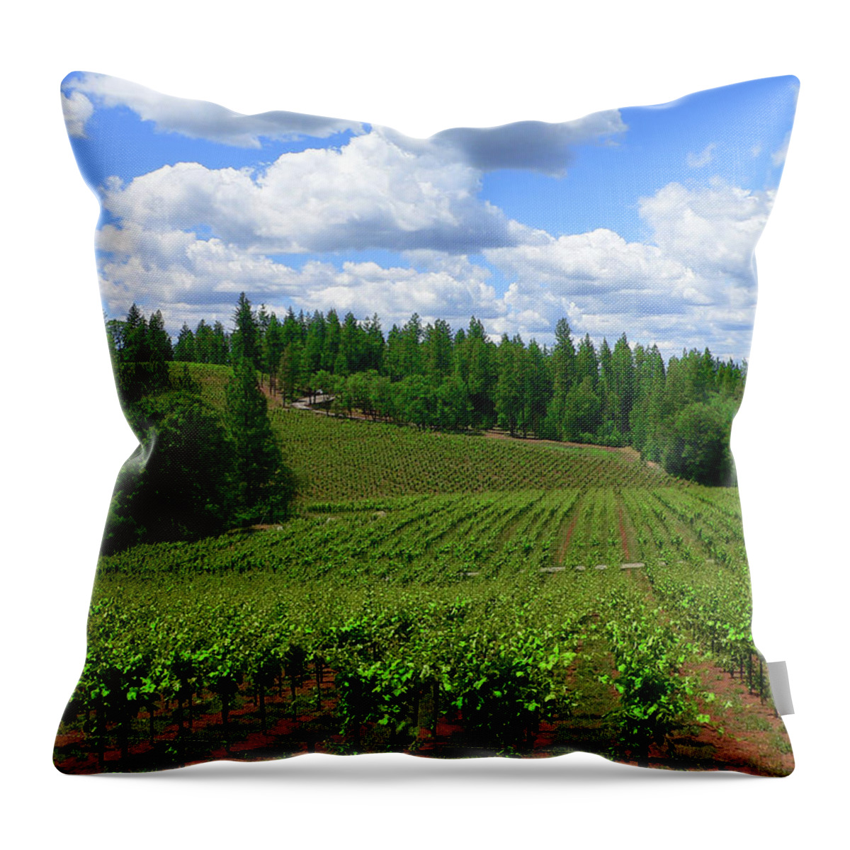 Vineyard Throw Pillow featuring the photograph Vineyard in June by Beverly Read