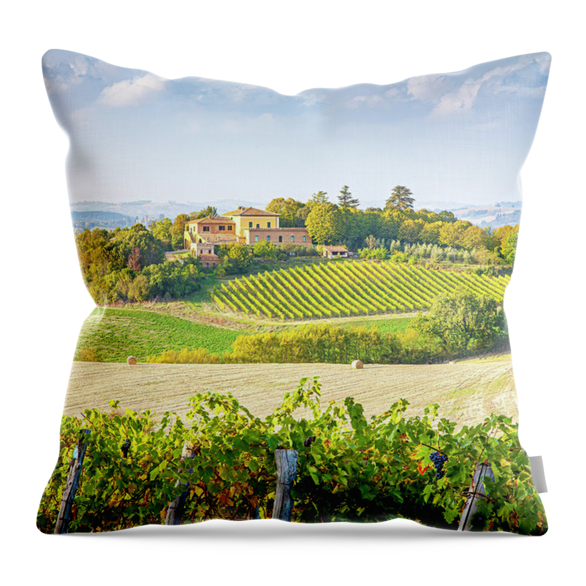 Tuscany Photography Throw Pillow featuring the photograph Vineyard in Tuscany by Marla Brown