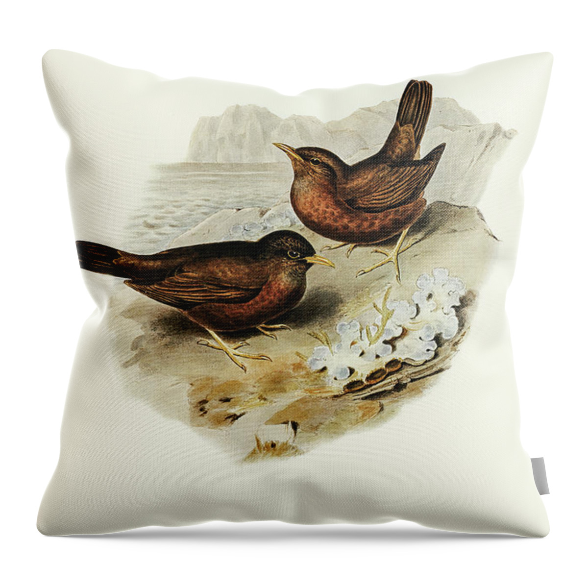 Vinous-tinted Blackbird Throw Pillow featuring the drawing Vinous-tinted Blackbird, Merula vinitincta by John Gould