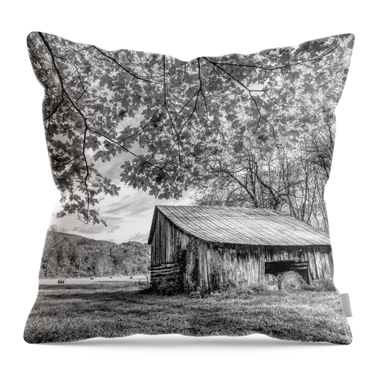Barns Throw Pillow featuring the photograph Vintage Barn Black and White Creeper Trail Damascus Virginia by Debra and Dave Vanderlaan