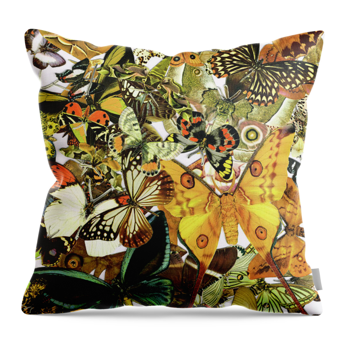 Butterfly Throw Pillow featuring the painting Vintage Butterfly Art - Butterflies Galore - Sharon Cummings by Sharon Cummings