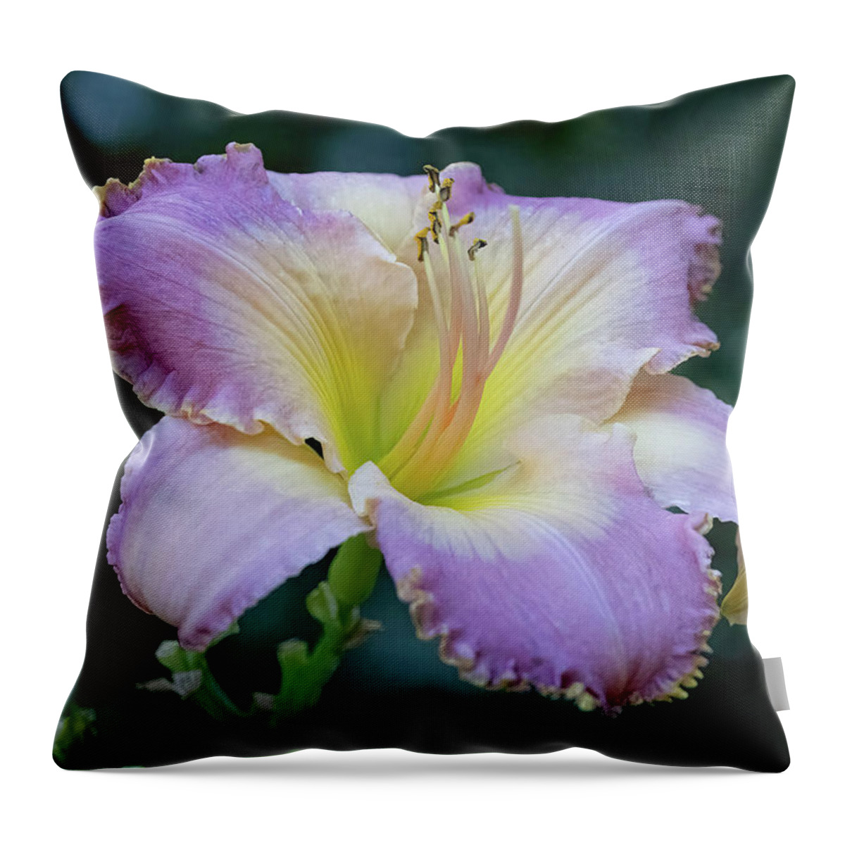White Throw Pillow featuring the photograph Vintage Ruffles by Gina Fitzhugh