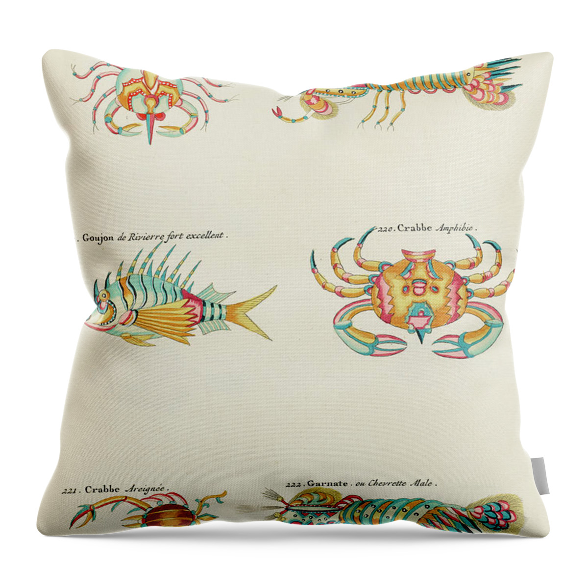 Fish Throw Pillow featuring the digital art Vintage, Whimsical Fish and Marine Life Illustration by Louis Renard - Crabbe, Goujon, Garnate by Louis Renard