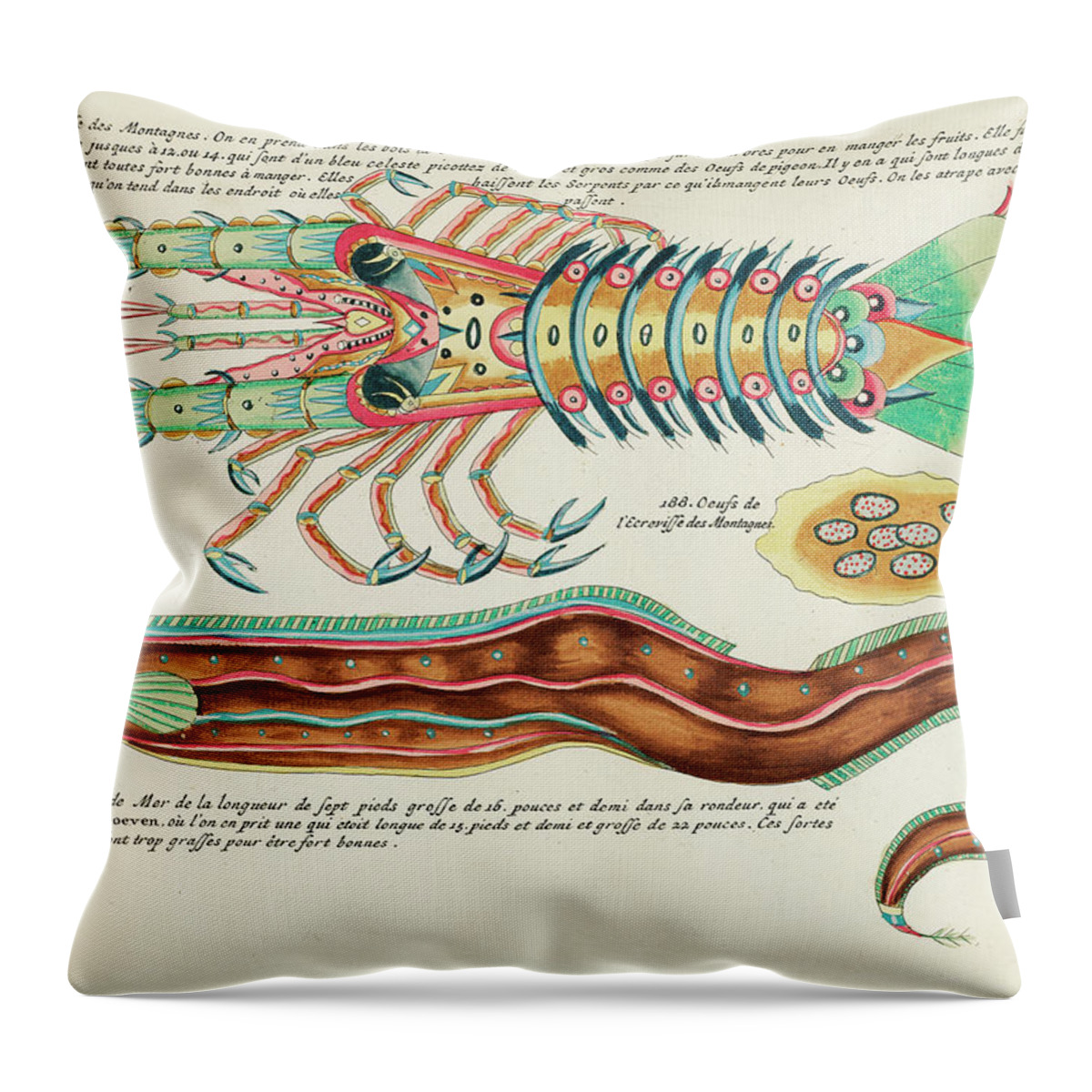 Fish Throw Pillow featuring the digital art Vintage, Whimsical Fish and Marine Life Illustration by Louis Renard - Mountain Crayfish, Sea Eel by Louis Renard
