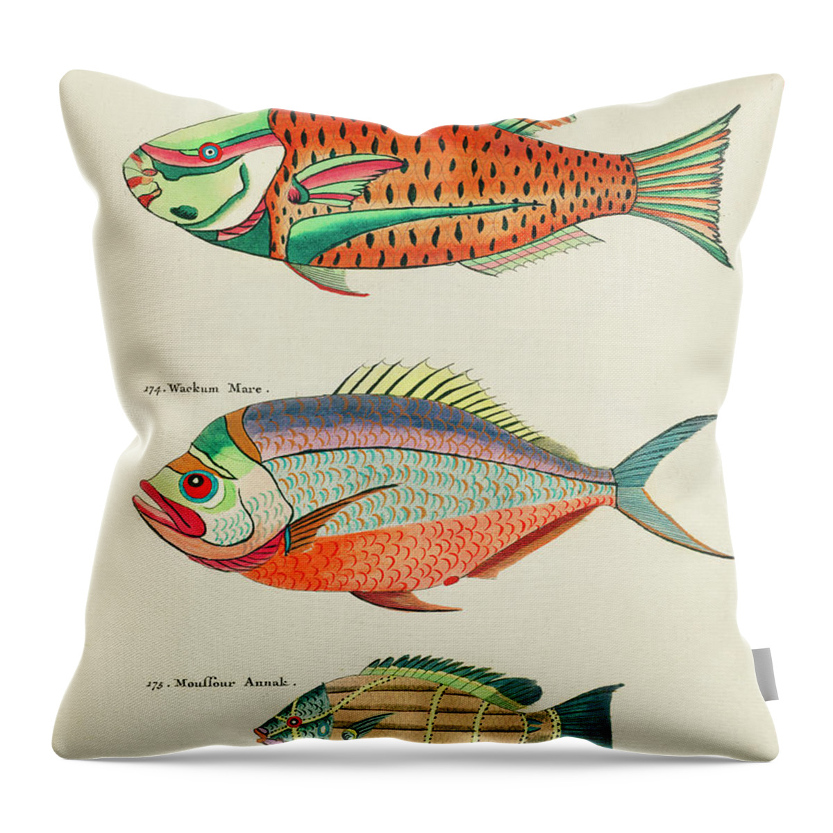 Fish Throw Pillow featuring the digital art Vintage, Whimsical Fish and Marine Life Illustration by Louis Renard - Poisson Peroquet, Wackum Mare by Louis Renard
