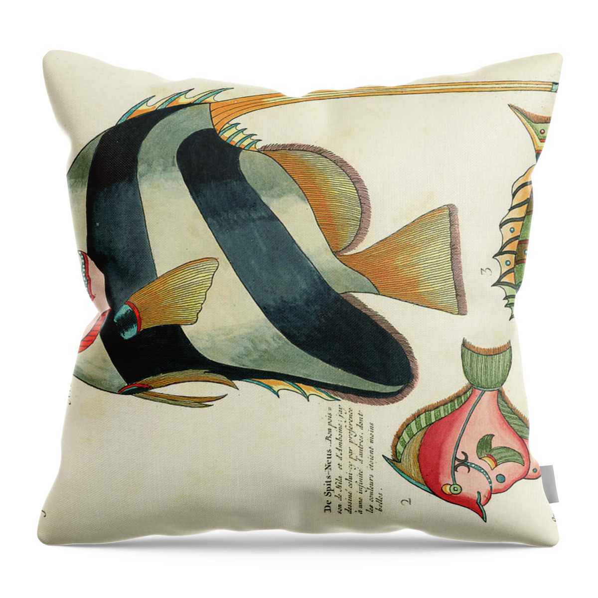 Fish Throw Pillow featuring the digital art Vintage, Whimsical Fish and Marine Life Illustration by Louis Renard - The Great Table Fish, Suangi by Studio Grafiikka