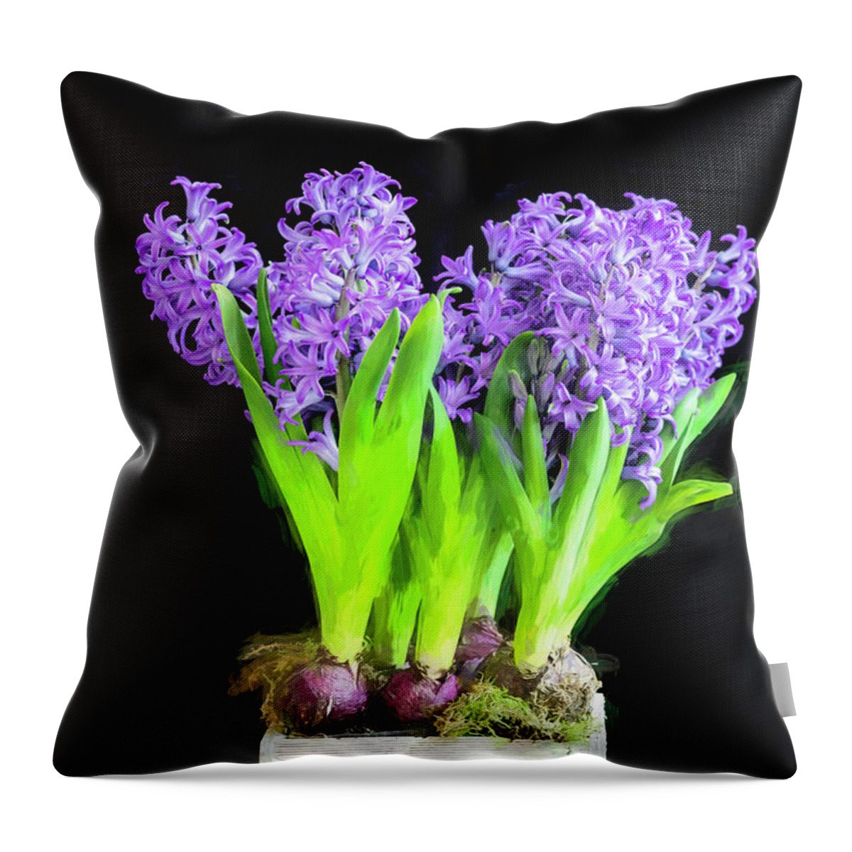 Hyacinths Throw Pillow featuring the photograph Violet Hyacinths X101 by Rich Franco