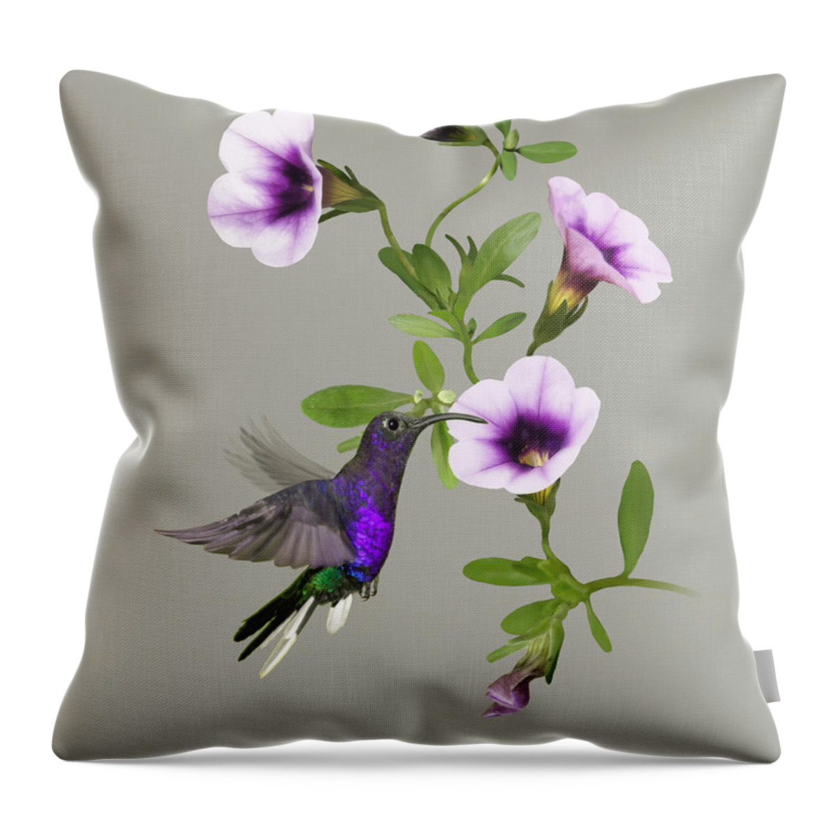 Hummingbird Throw Pillow featuring the digital art Violet Sabrewing Hummingbird by M Spadecaller