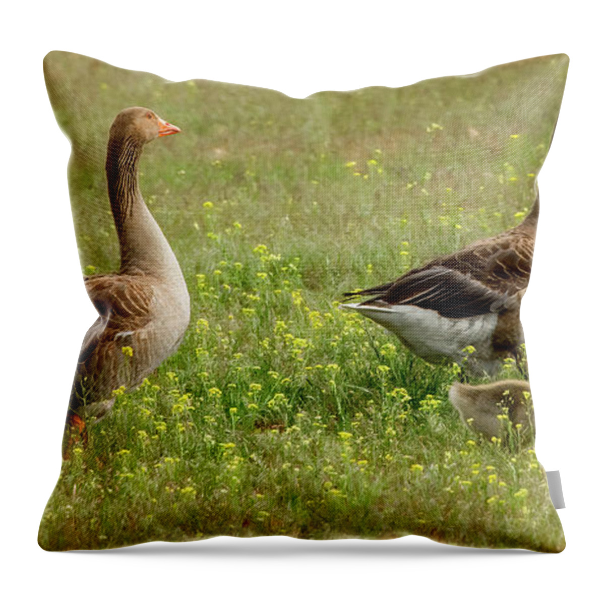 Geese Throw Pillow featuring the photograph Waddling Through the Wildflowers by Marcy Wielfaert
