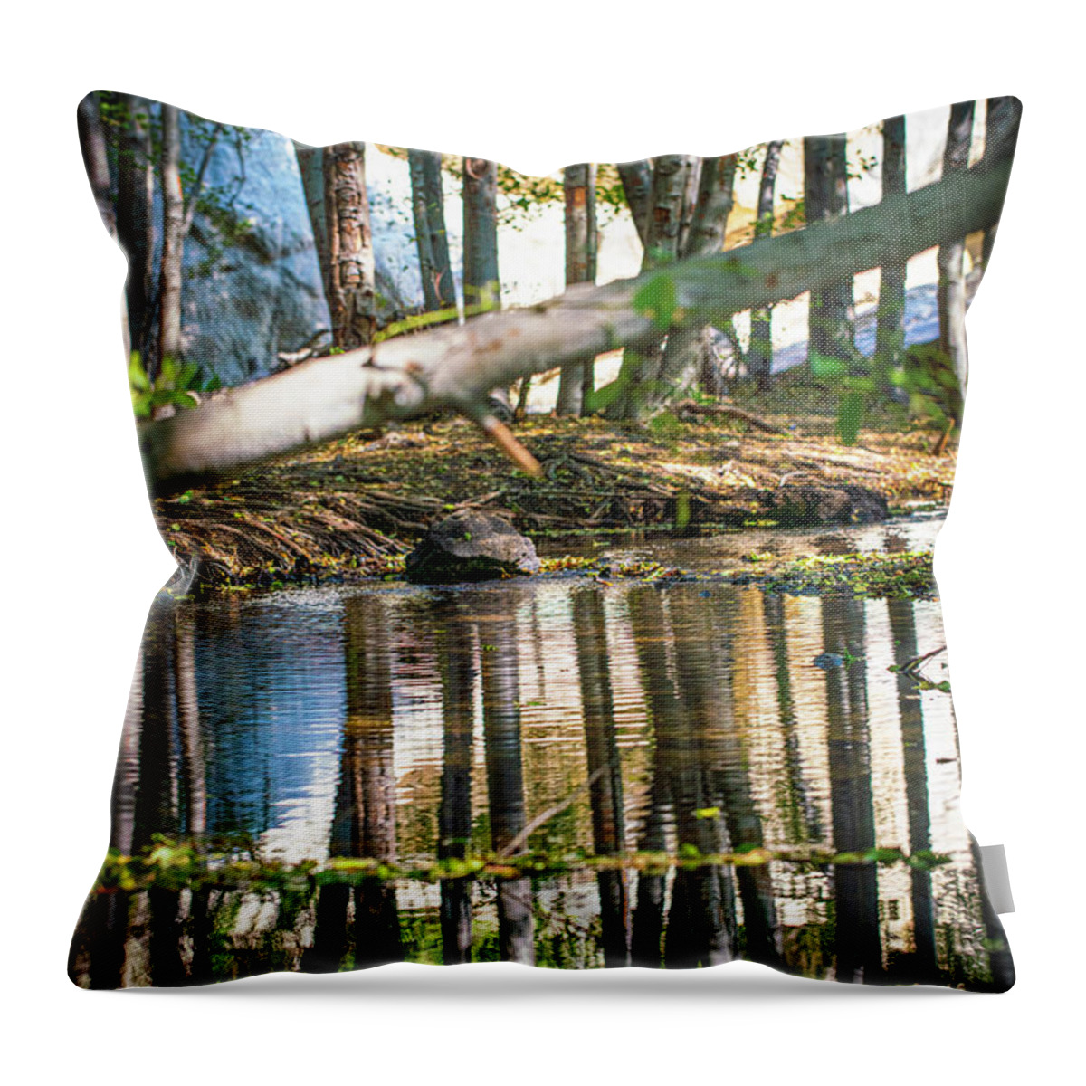 Abstract Throw Pillow featuring the photograph Waders by Ryan Weddle
