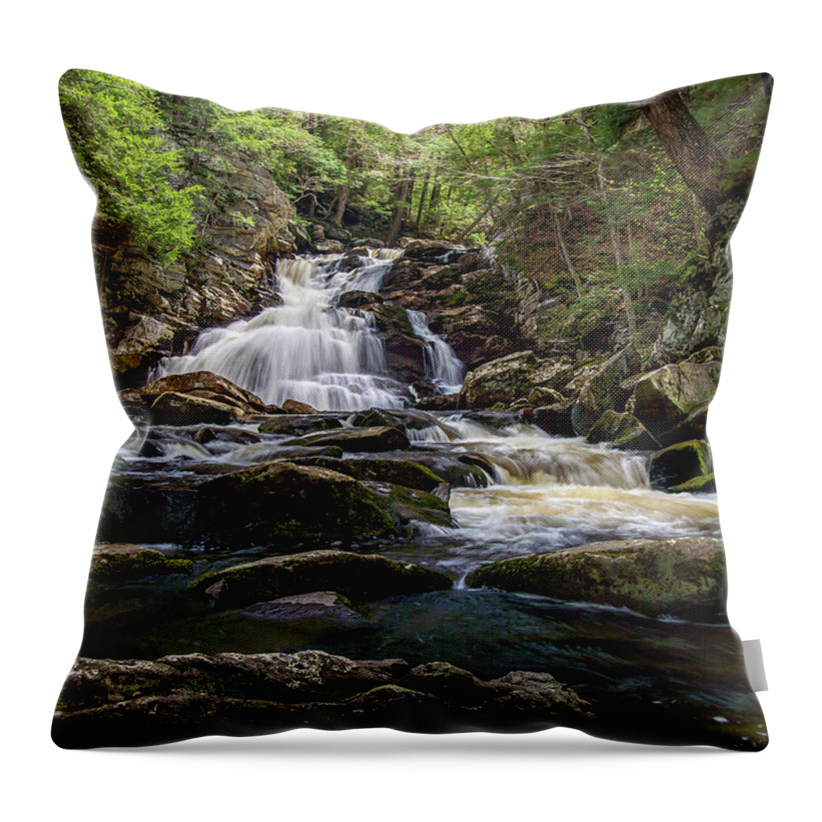 Bolders Throw Pillow featuring the photograph Wahconah Falls 3 by Dimitry Papkov