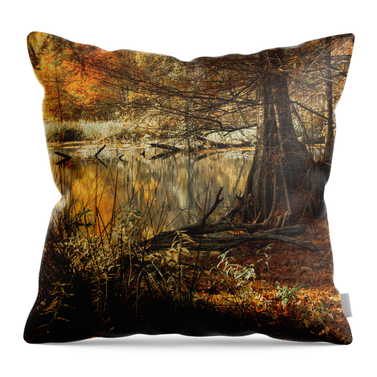Landscape Throw Pillow featuring the photograph Waiting for Autumn by Iris Greenwell