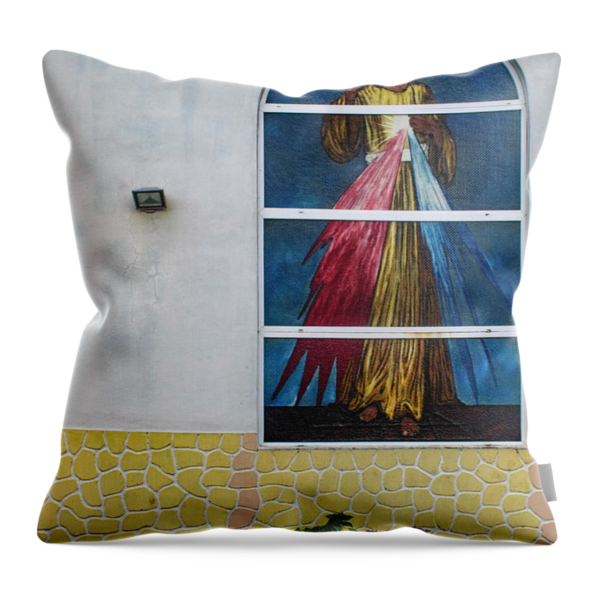 Dog Throw Pillow featuring the photograph Waiting for Grace by Wayne King