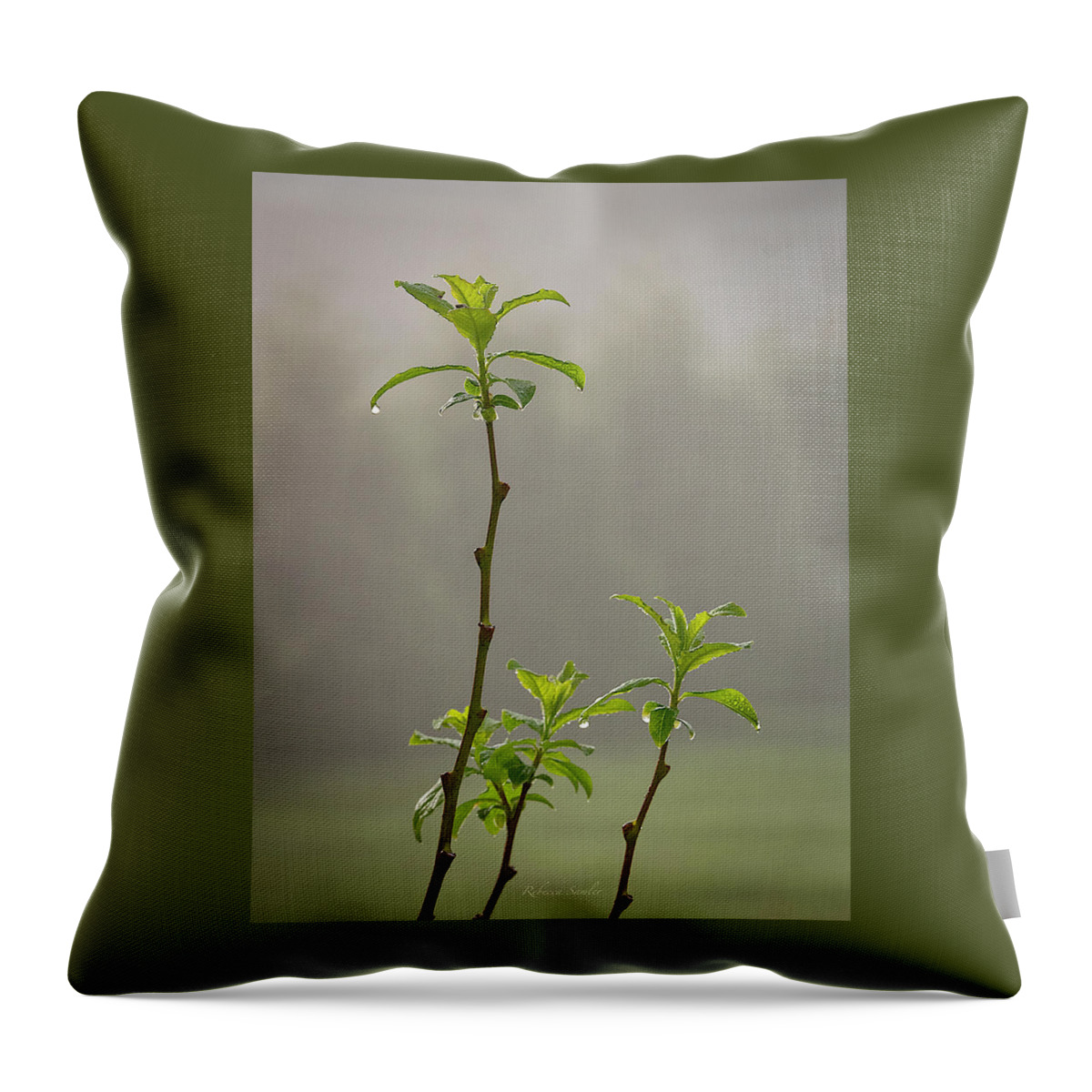 Pussy Willow Throw Pillow featuring the photograph Waiting for the Fog to Lift by Rebecca Samler