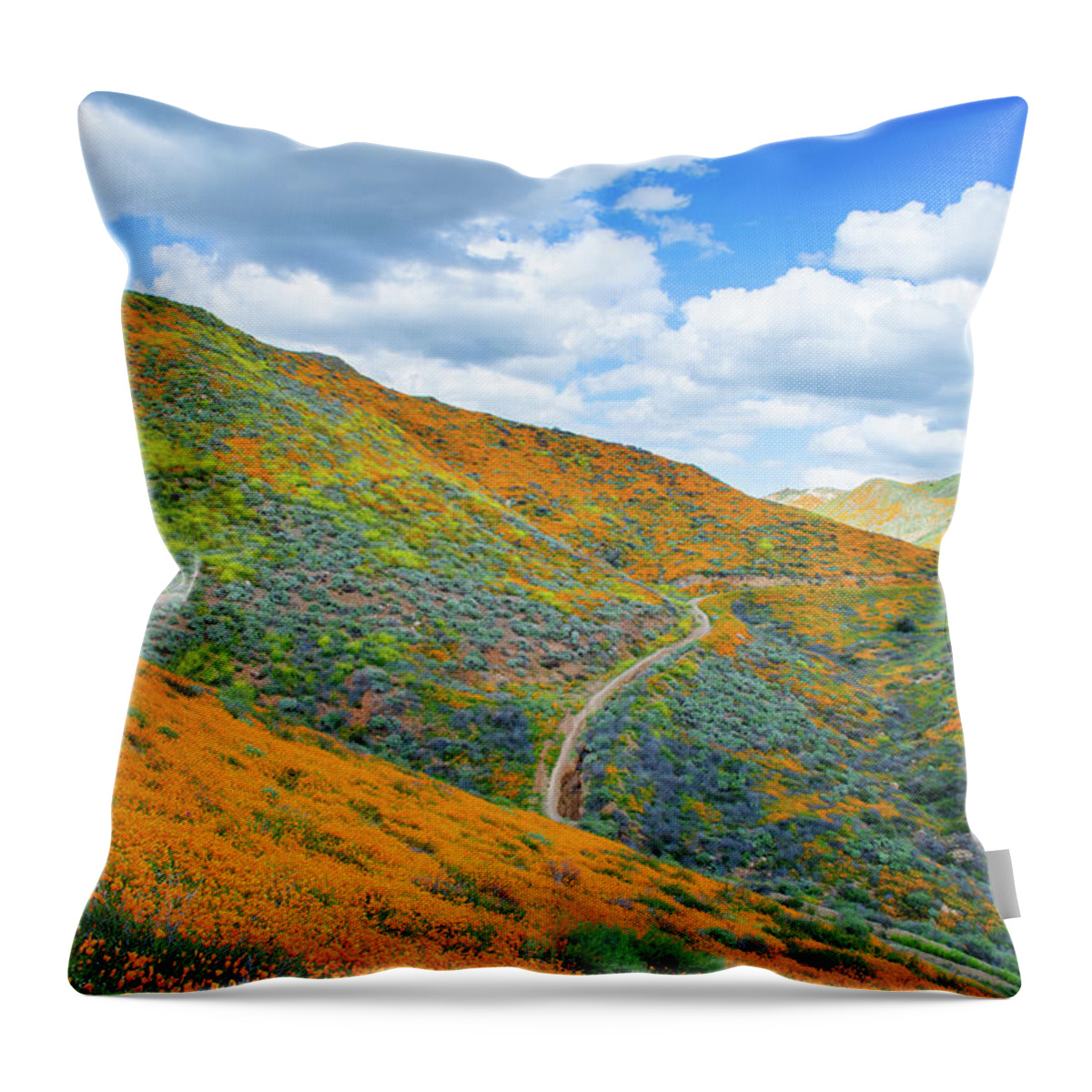 California Poppy Throw Pillow featuring the photograph Walker Canyon Super Bloom Portrait by Kyle Hanson
