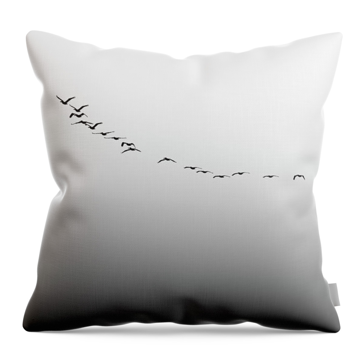 Published Throw Pillow featuring the photograph Walking Alone by Enrique Pelaez