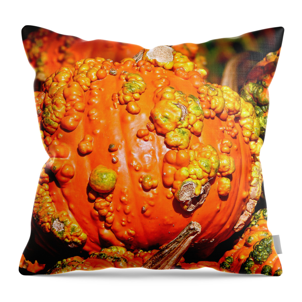 October Throw Pillow featuring the photograph Walking October by Ira Shander