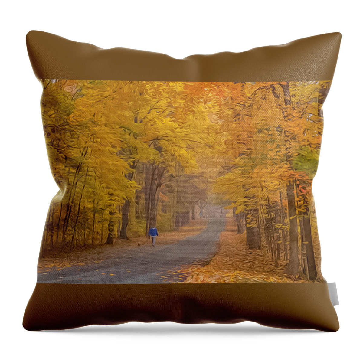Fall Throw Pillow featuring the photograph Walking the Dog OP by Jim Dollar