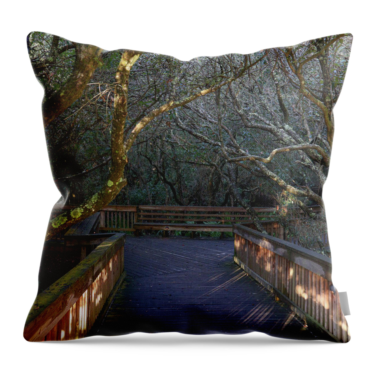 Jekyll Island Throw Pillow featuring the photograph Walking The Tangle by Ed Williams