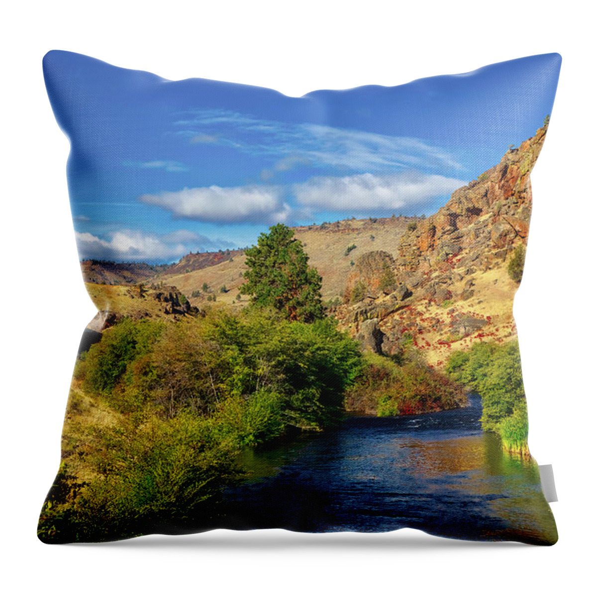 River Throw Pillow featuring the photograph Warm Springs River by Loyd Towe Photography