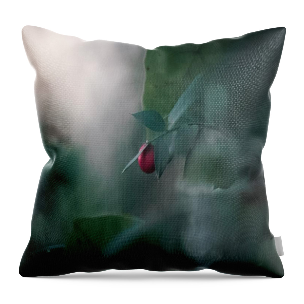 Natura Throw Pillow featuring the photograph Washed Away by Auranatura Art