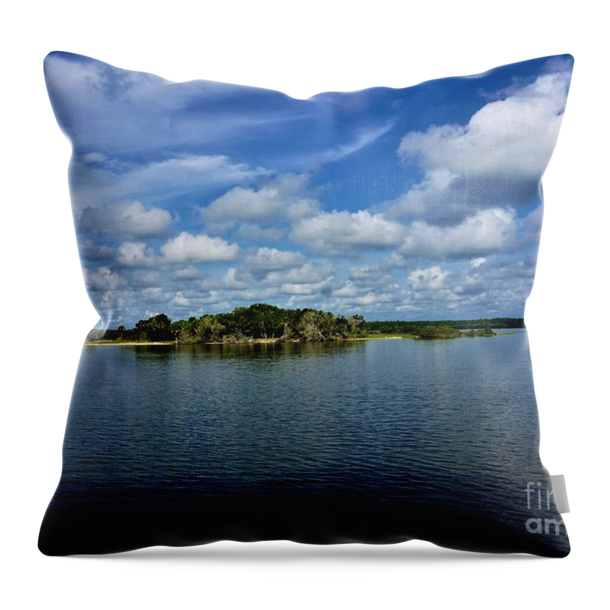 Photography Throw Pillow featuring the photograph Washington Oaks State Park by Jimmy Clark
