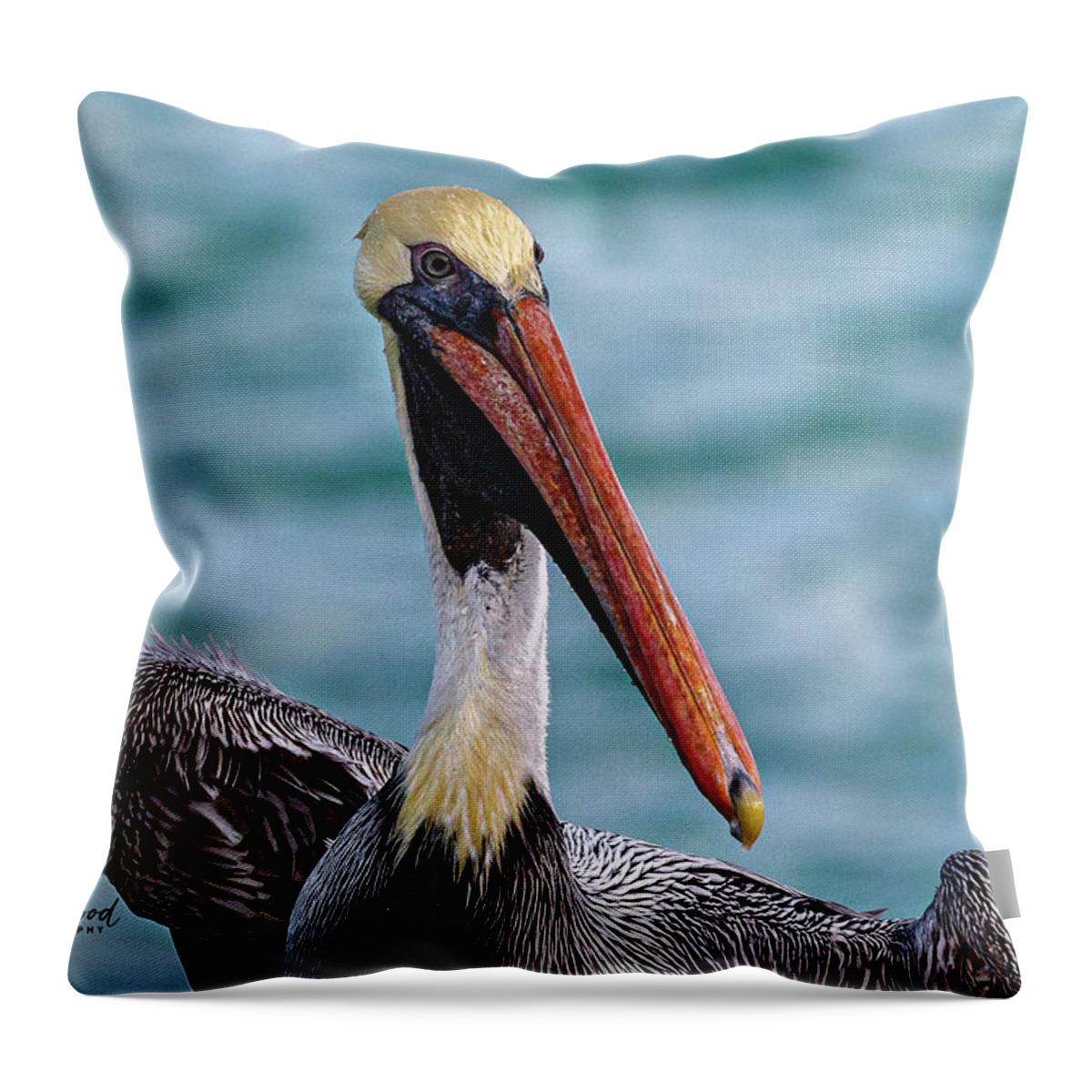 Bird Throw Pillow featuring the photograph Watch Out by Les Greenwood