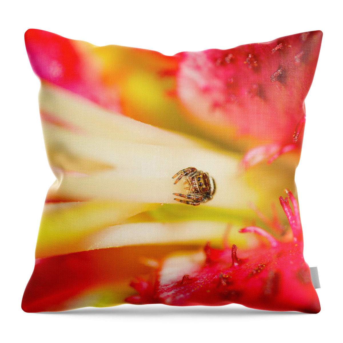 D1-a-8176 Throw Pillow featuring the photograph Watching Me by Paul W Faust - Impressions of Light