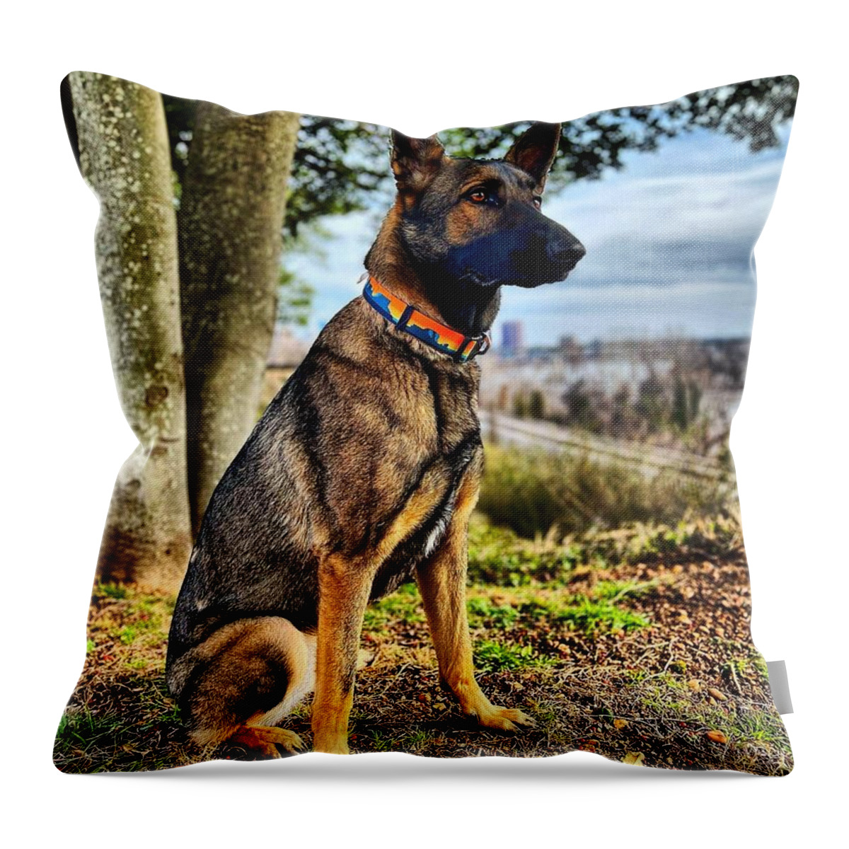  Throw Pillow featuring the photograph Watching by Stephen Dorton