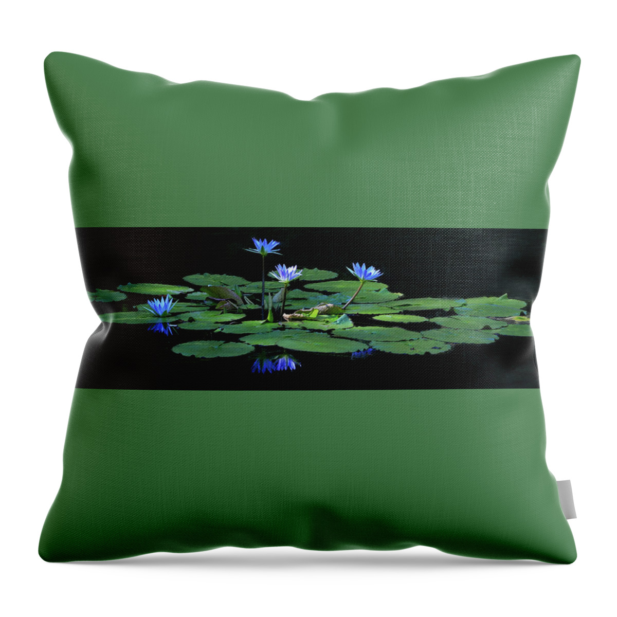 Water Lily Throw Pillow featuring the photograph Water Lilies 2 by Richard Krebs