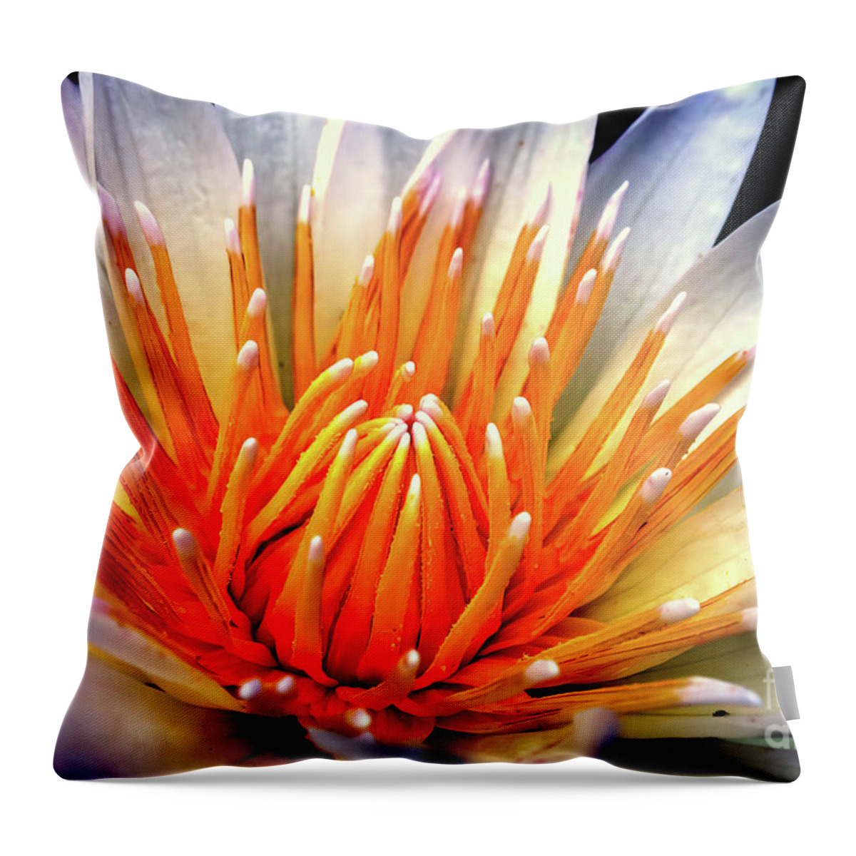 Water Throw Pillow featuring the photograph Water Lily Flower by Jolanta Anna Karolska