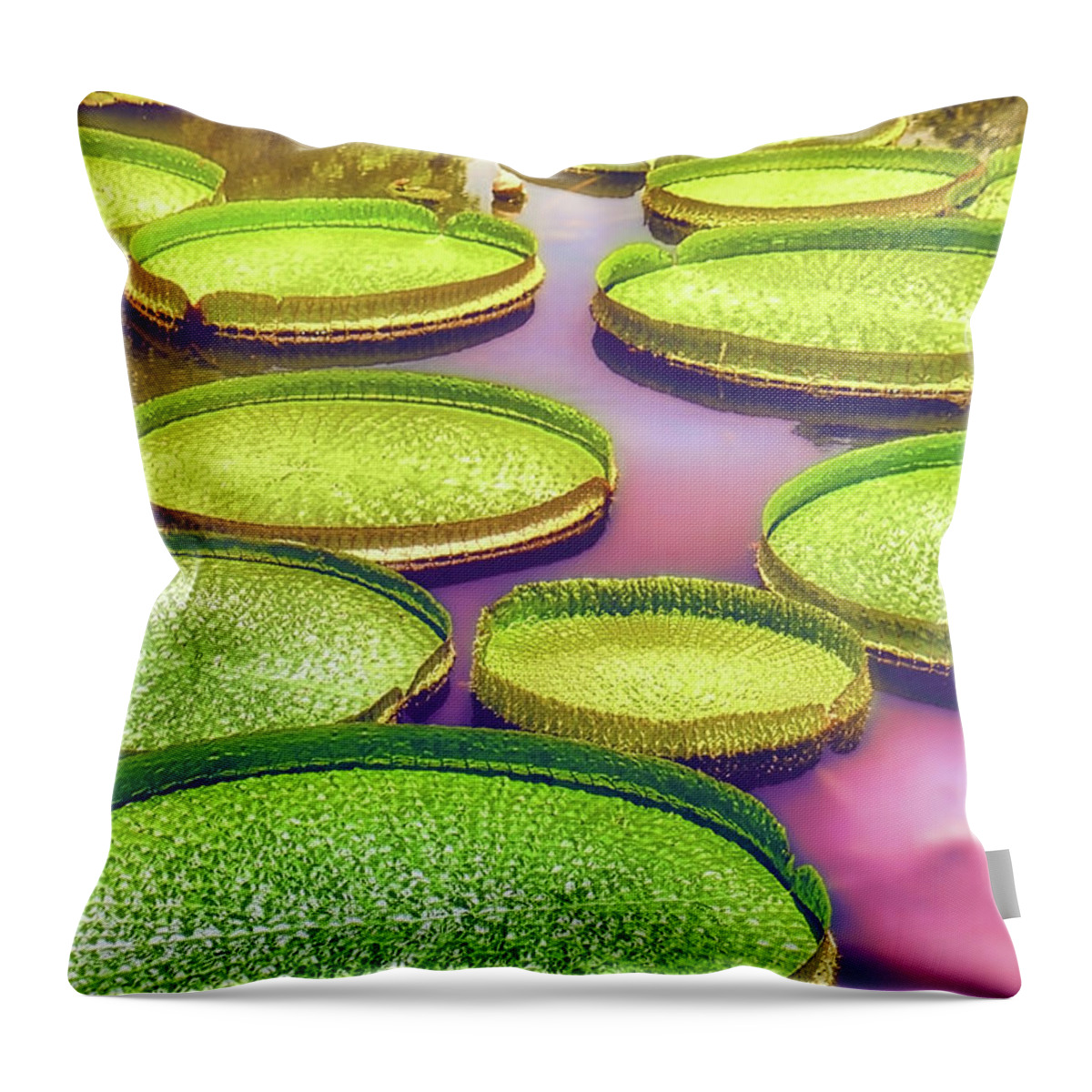 Horse Throw Pillow featuring the photograph Water lily in field garden by Artto Pan