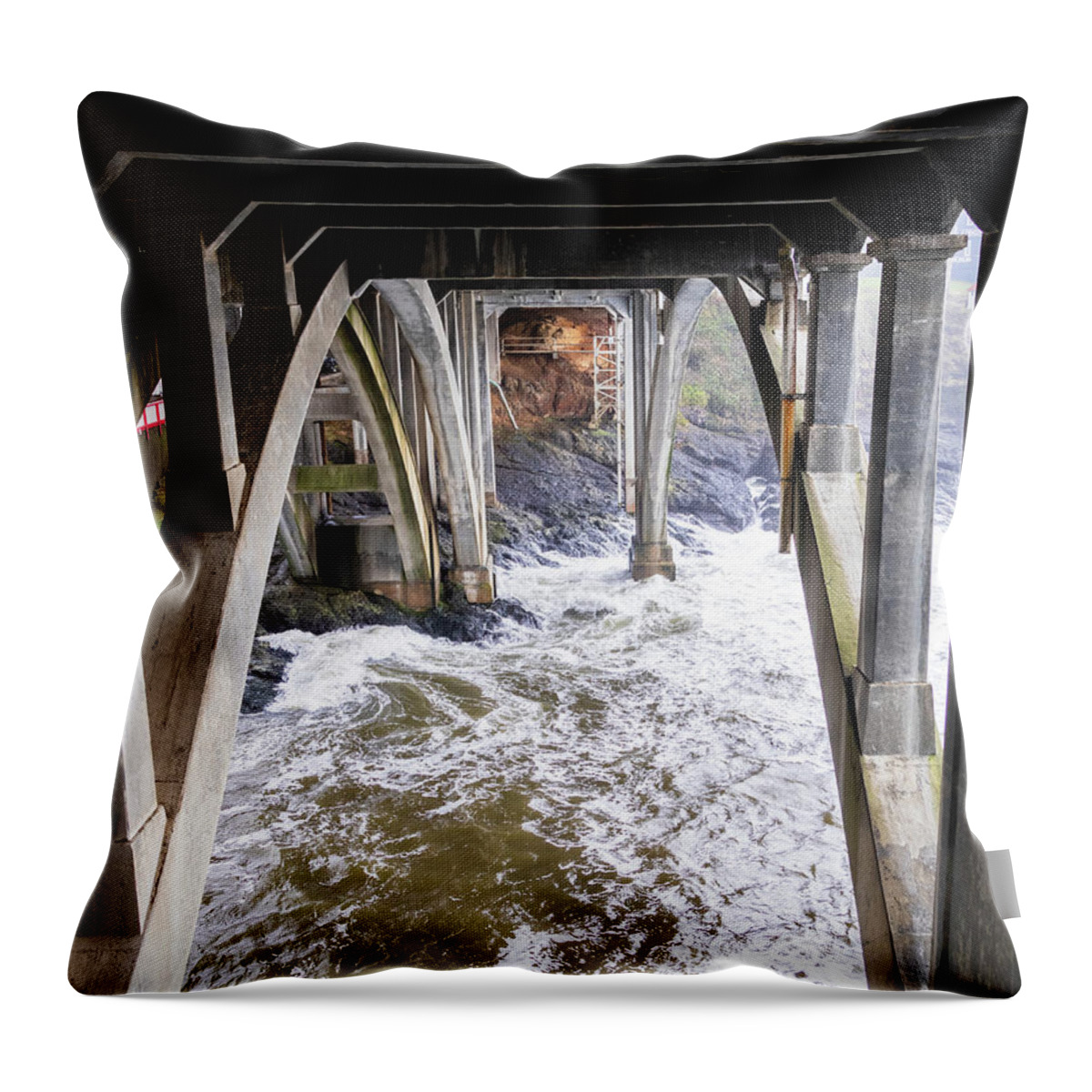 Water Throw Pillow featuring the photograph Water Under the Bridge by Catherine Avilez