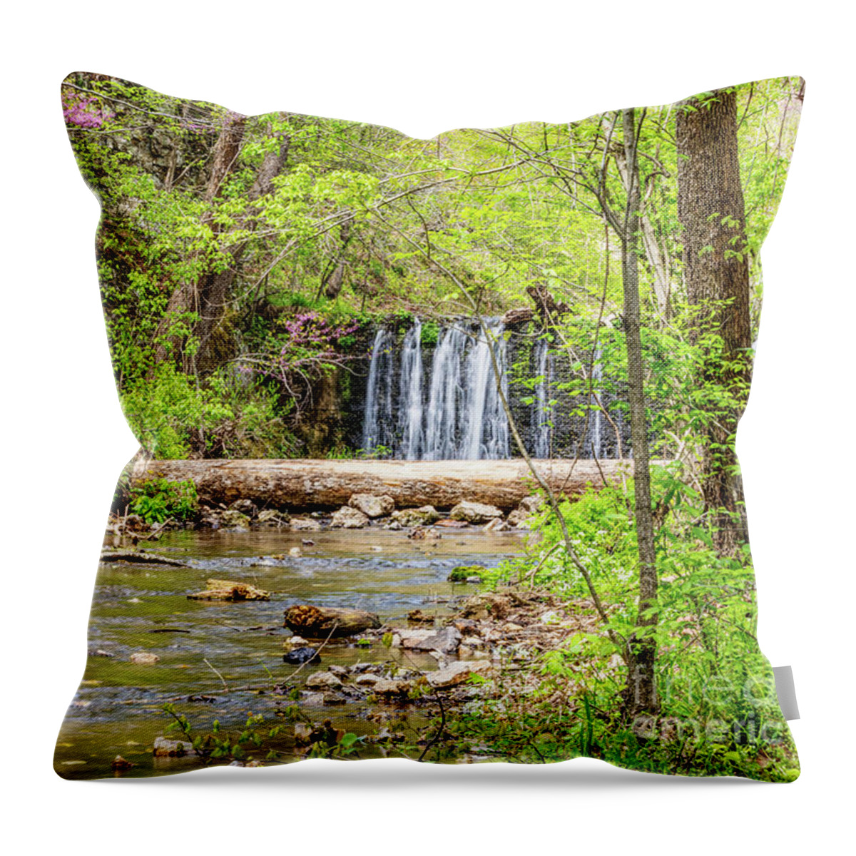 Natural Falls State Park Throw Pillow featuring the photograph Waterfall Along Dripping Springs Branch by Jennifer White