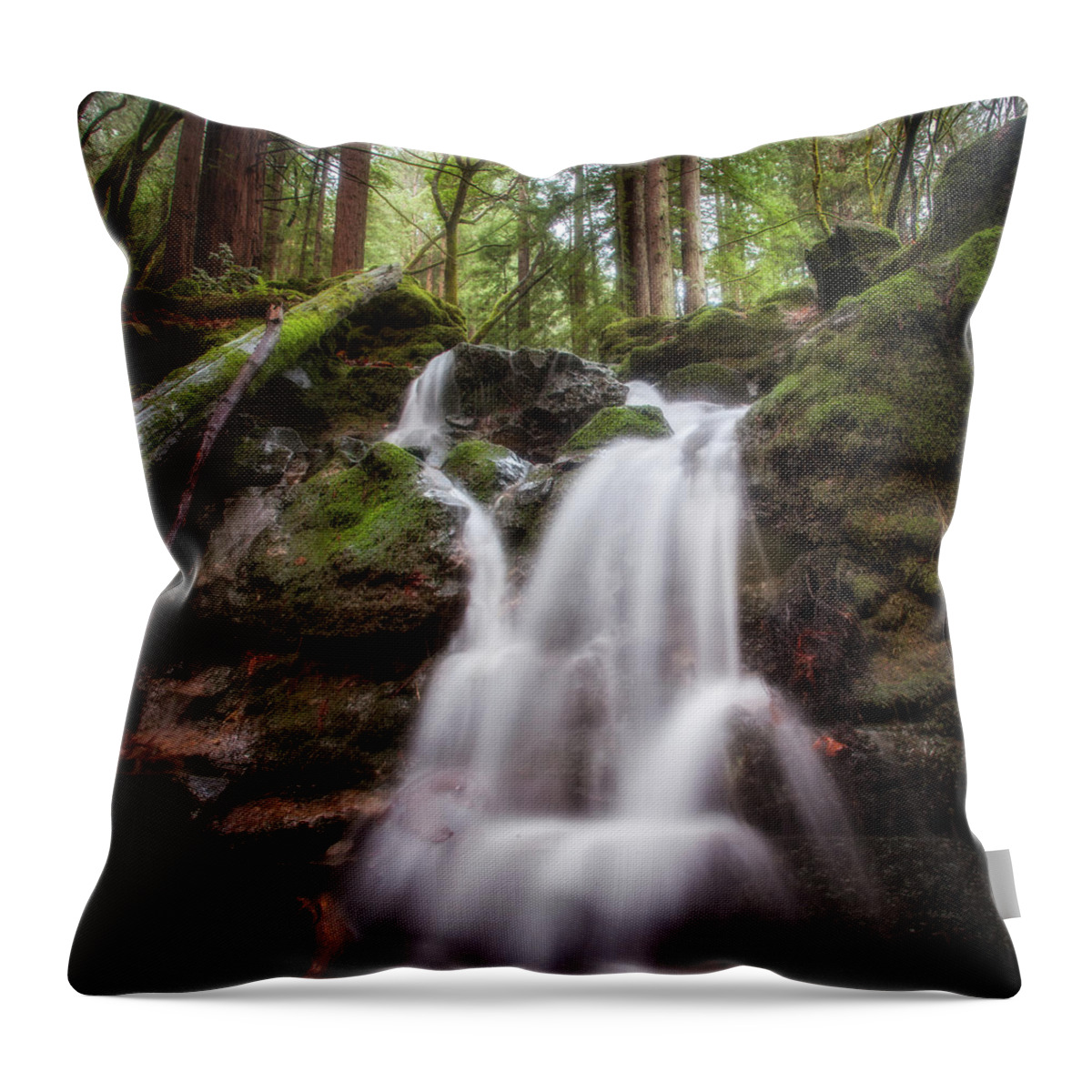 Waterfall Throw Pillow featuring the photograph Waterfall, Baltimore Canyon by Donald Kinney