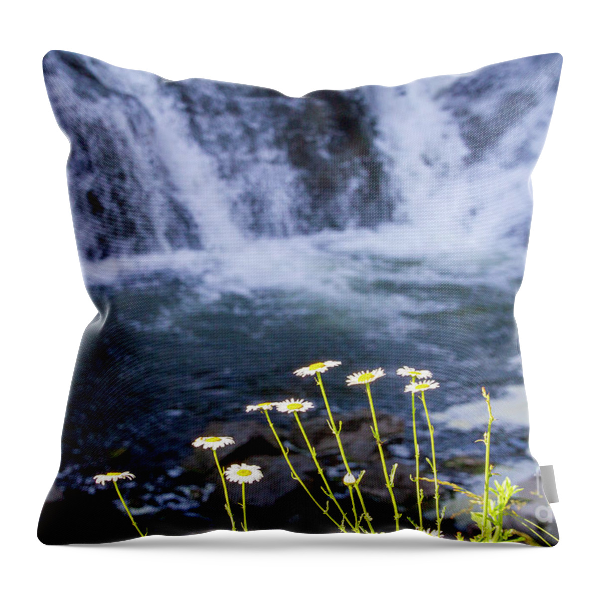 Waterfall Throw Pillow featuring the photograph Waterfall Daisies by William Norton