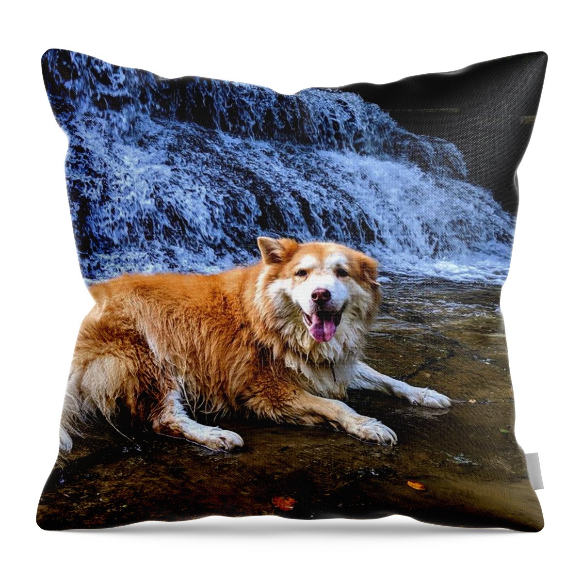  Throw Pillow featuring the photograph Waterfall Doggy by Brad Nellis