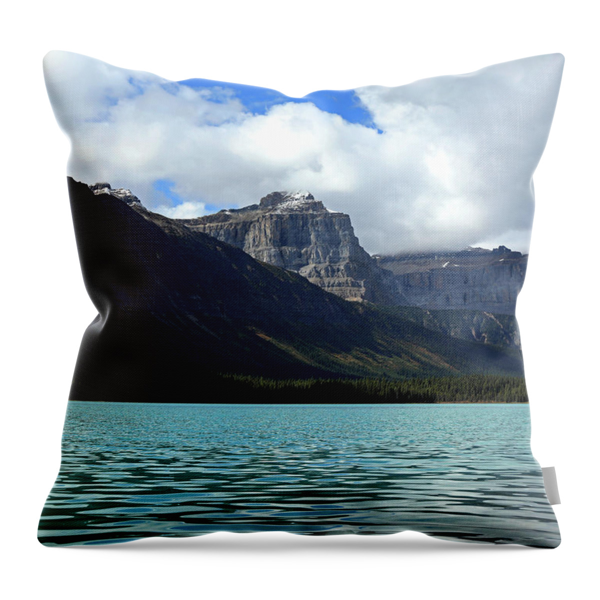 Waterfowl Lake Turquoise Water Throw Pillow featuring the photograph Waterfowl Lake Turquoise Water by Dan Sproul