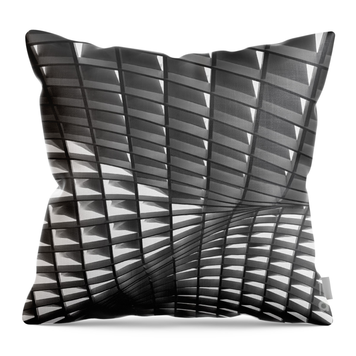 Metallic Throw Pillow featuring the photograph Waves by Iryna Liveoak