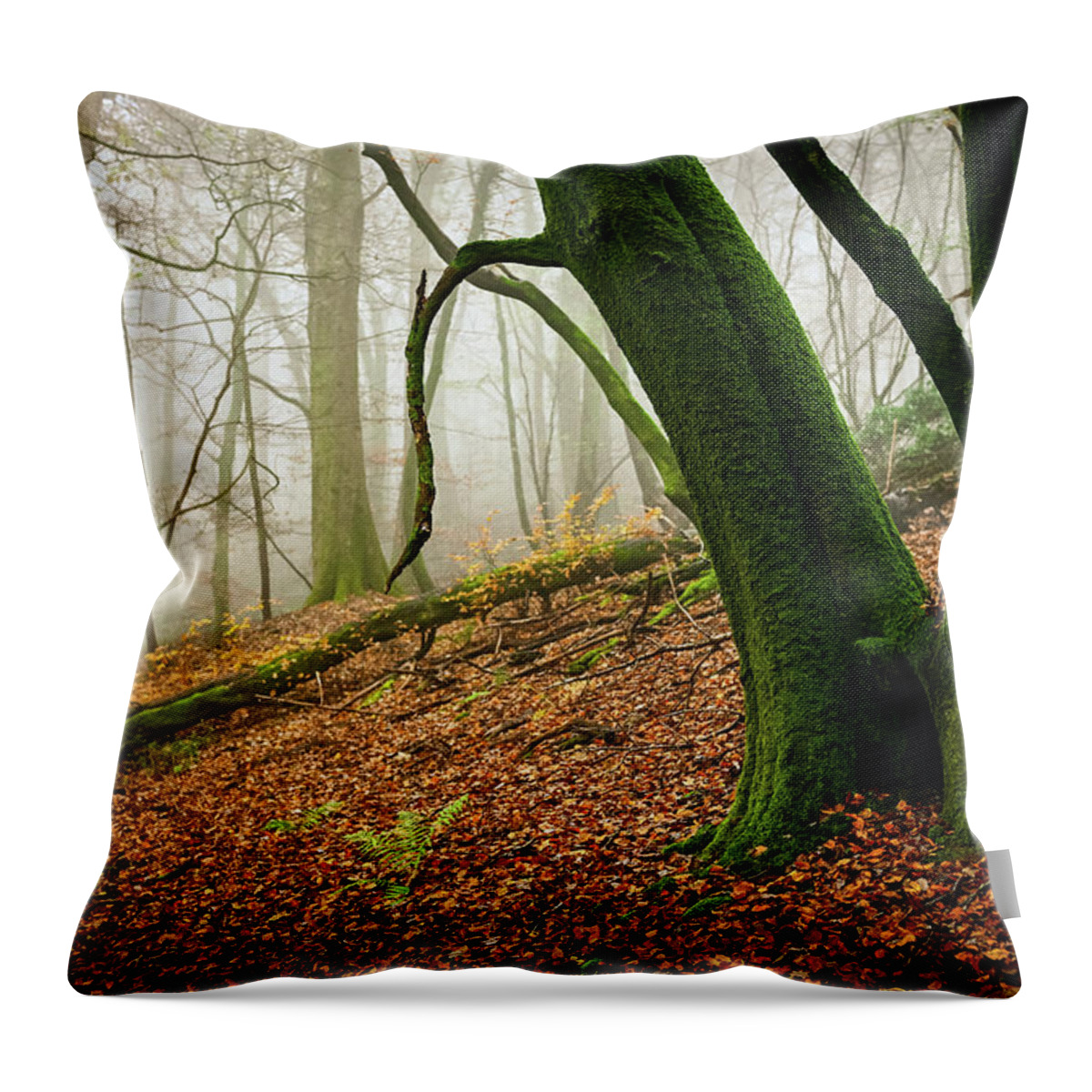 Forest Throw Pillow featuring the photograph We lean... by Gavin Lewis