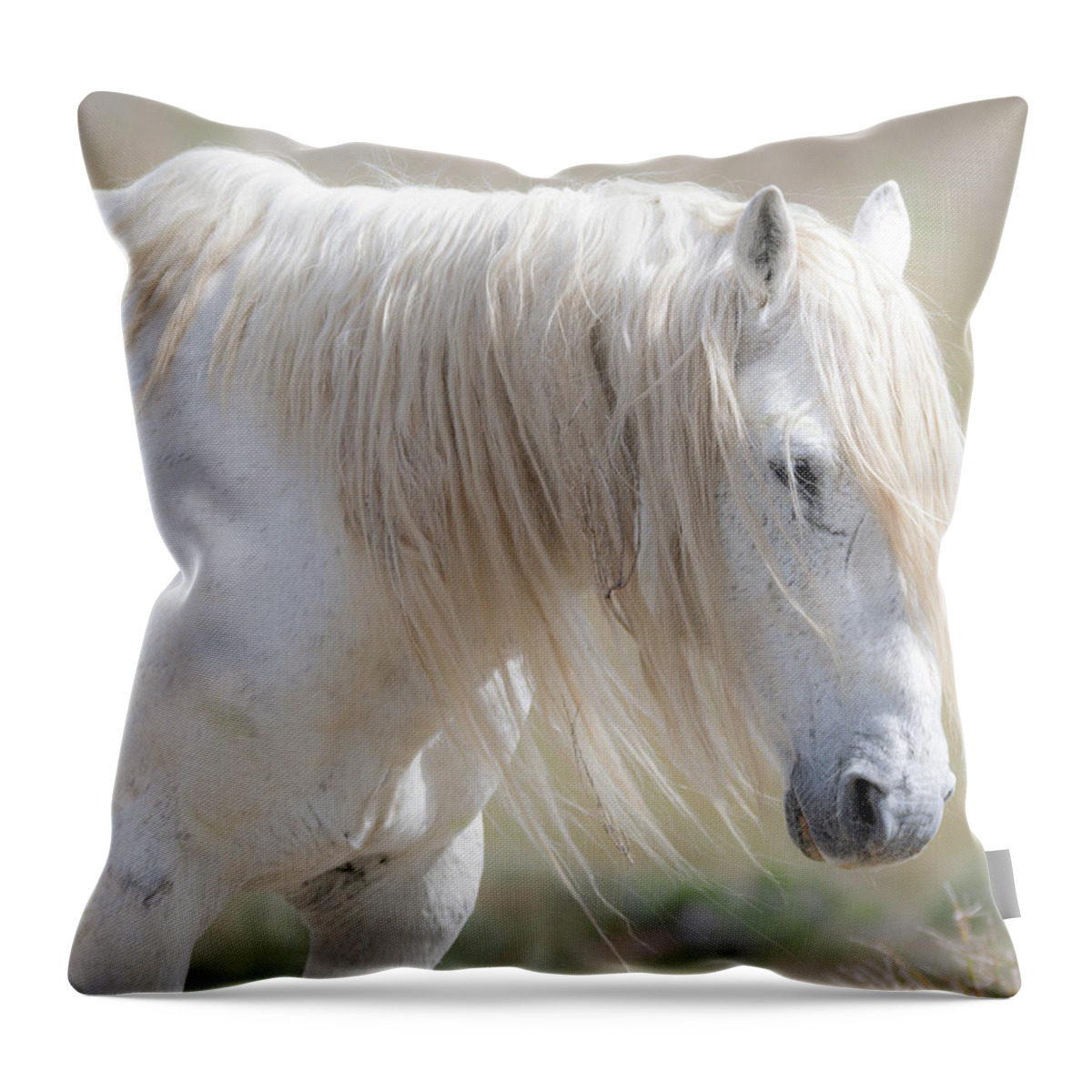 Wild Horses Throw Pillow featuring the photograph Weary by Mary Hone