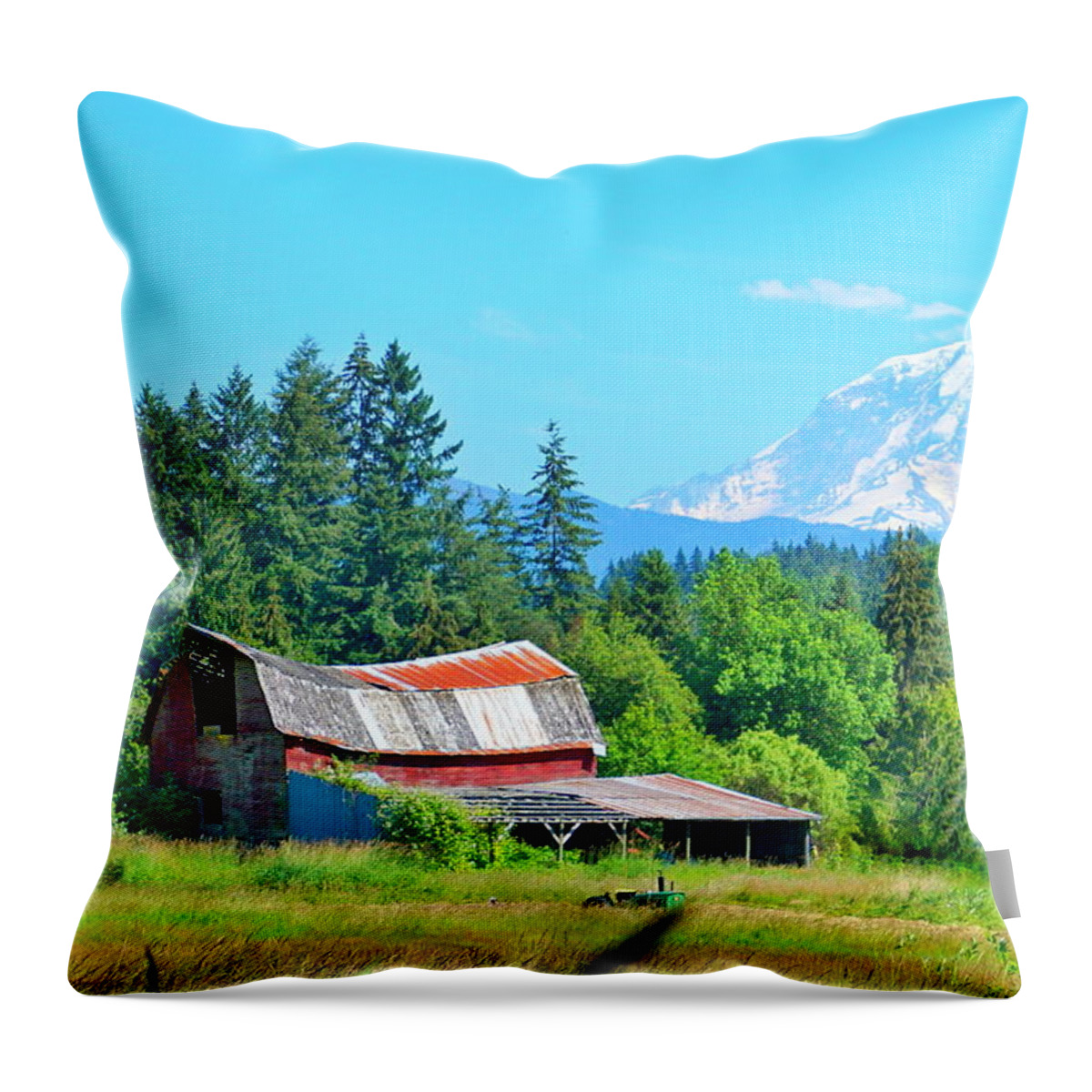 Landscape Throw Pillow featuring the photograph Weathered Barn by Bill TALICH