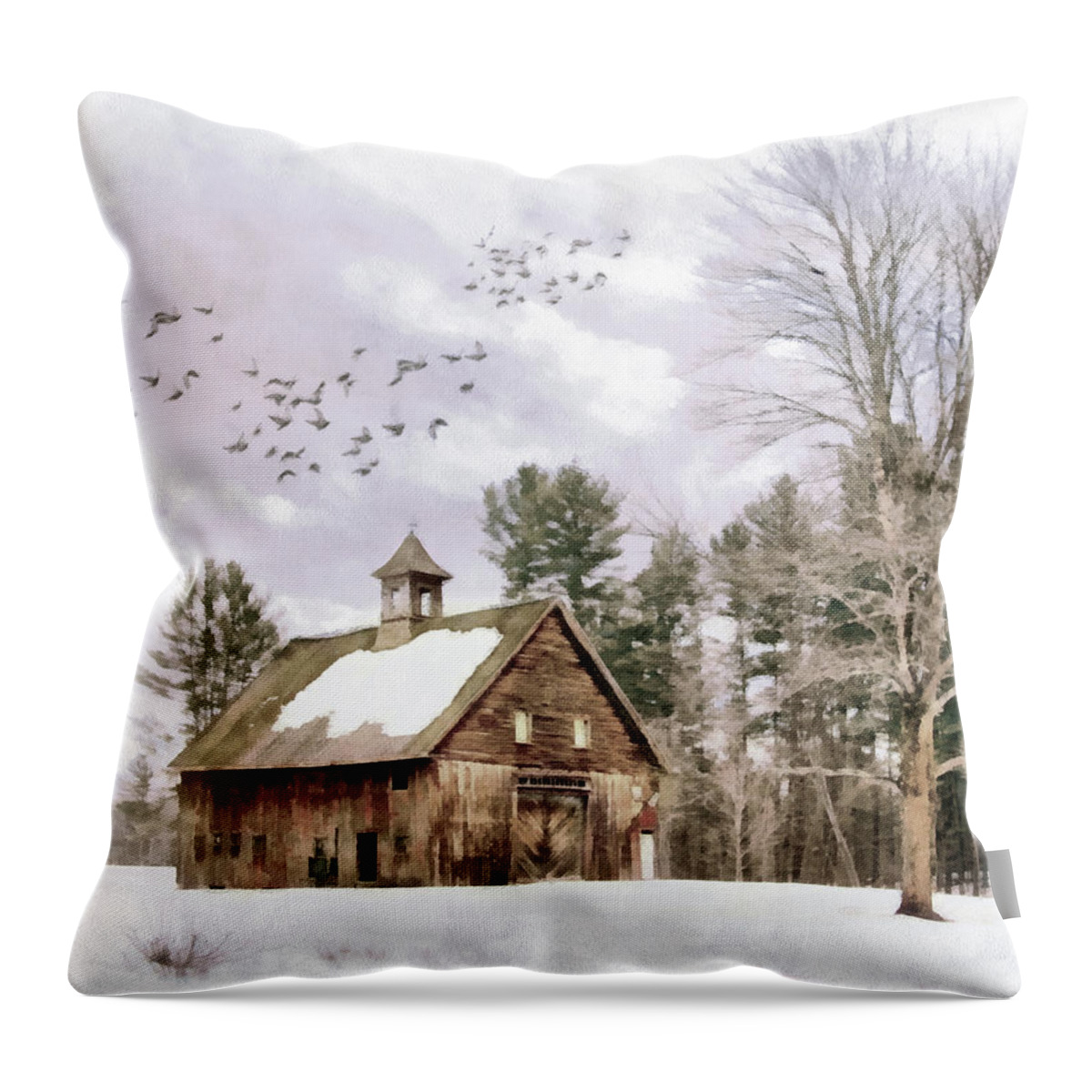 Landscape Throw Pillow featuring the photograph Weathered Barn with Tree by Betty Denise
