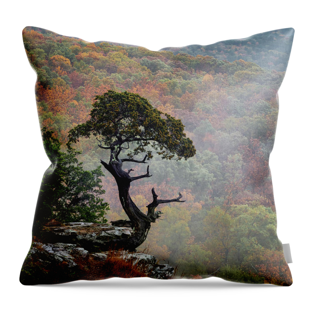 Magazine Mountain Throw Pillow featuring the photograph Weathered Cedar by James Barber