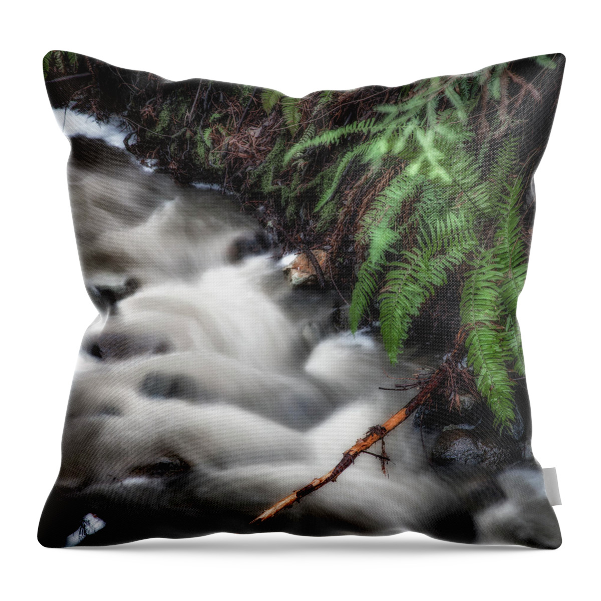 Webb Creek Throw Pillow featuring the photograph Webb Creek and ferns by Donald Kinney