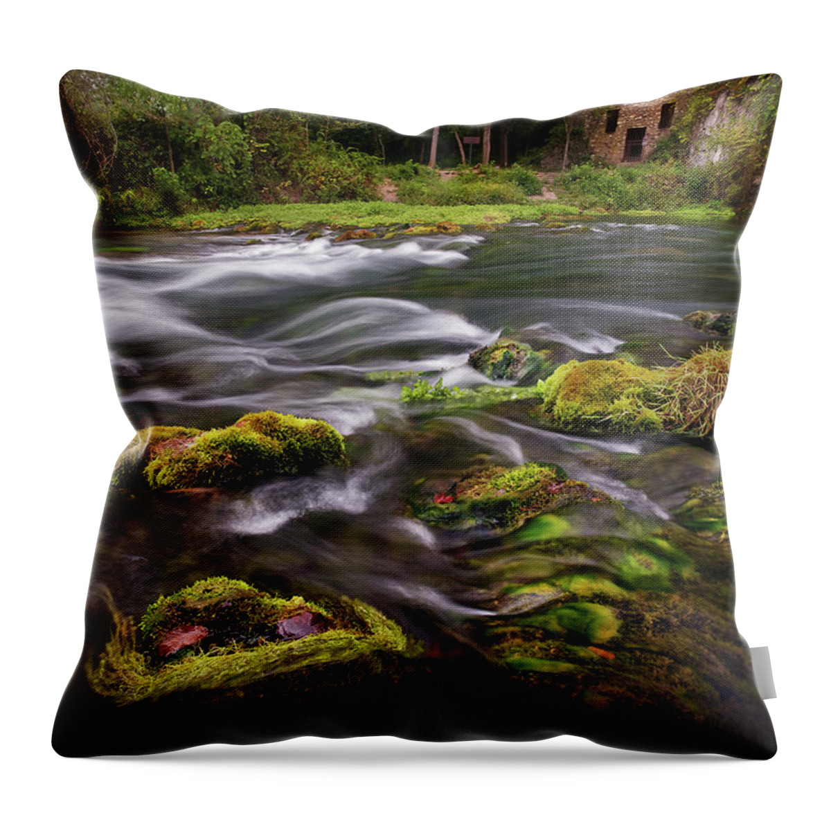 Welch Spring Throw Pillow featuring the photograph Welch Spring by Robert Charity